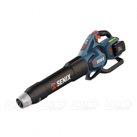 Воздуходувка аккумуляторная Senix BLAX2-M2-EU в Великом Новгороде