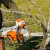 Аккумуляторная пила Stihl MSA 220 C-BQ-14" (без аккумулятора и зарядного устройства) в Великом Новгороде