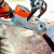 Аккумуляторная пила Stihl MSA 140 C-BQ SET-12 в Великом Новгороде